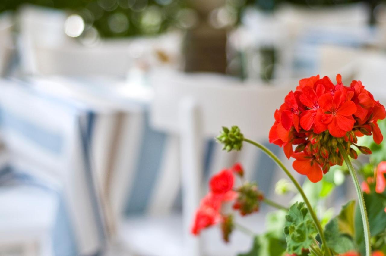Hotel Rugantino Cesenatico Dış mekan fotoğraf